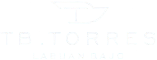 TB. TORRES