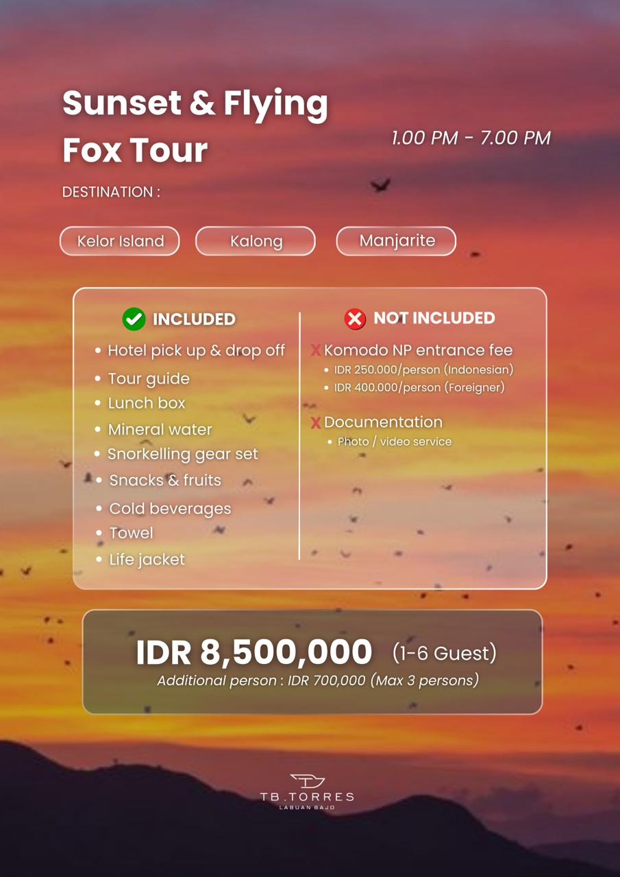 Sunset & Flying Fox